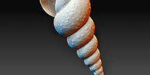 Image 380608