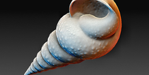 Image 380611