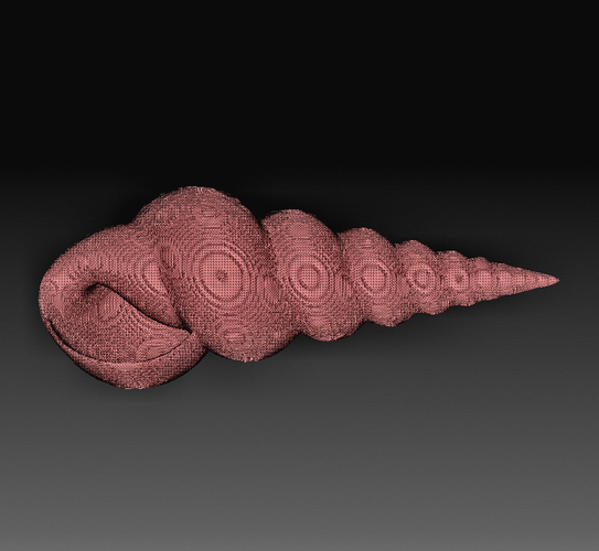 Sea Shell 3D Print 380612