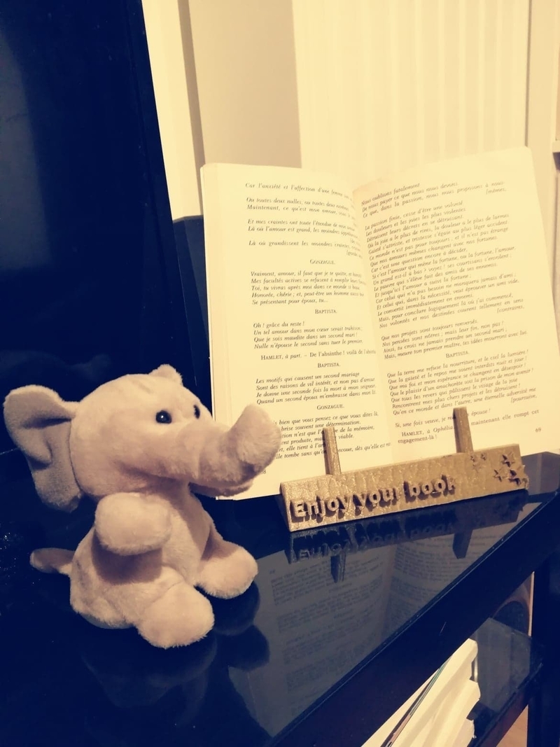 Book holder