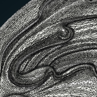 Scroll Wings - Thumbnail 12