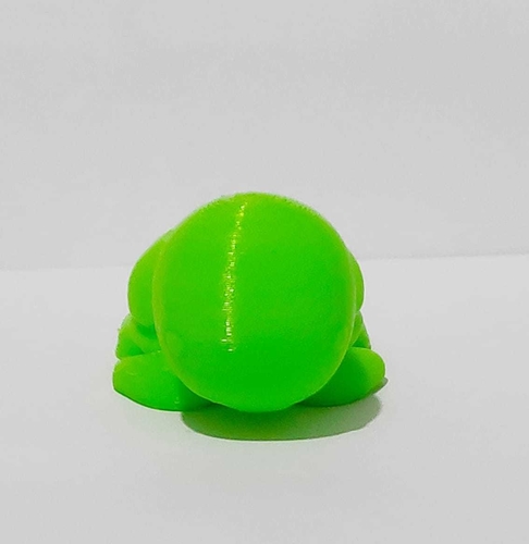 3D Printed Cute Turtle by usagipan3dstudios | Pinshape