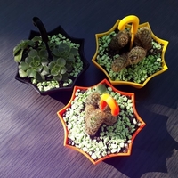 Flower pot umbrella design - Thumbnail 3
