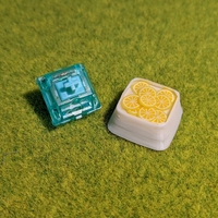 Dish of resin keycap V2 - Thumbnail 1