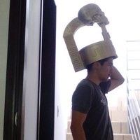 AZTEC PLUME - Thumbnail 9