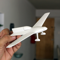 Small Concept Aircraft 3D Printing 382989