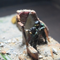 Group 1 of Soldiers - Thumbnail 3