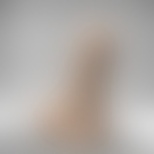 Anal/Vaginal Dildo - The Fat Joe 3D Print 384260