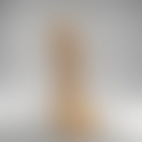 Small Anal/Vaginal Dildo - The Quetzal's Treasure 3D Printing 384733