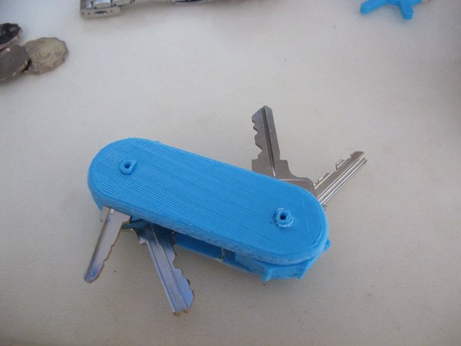 Swiss-Knife Key Ring / Key Holder 3D Print 38501