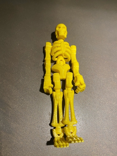 skeleton  3D Print 385018