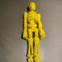 Small skeleton  3D Printing 385018