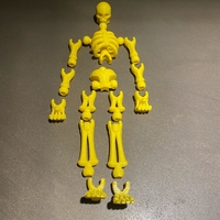 skeleton  - Thumbnail 2