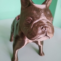 BOULEDOGUE VASE/TROUSSE - Thumbnail 8