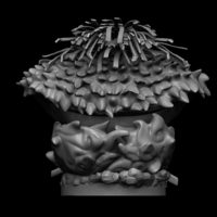 Yonko Kaido Bust One Piece - Thumbnail 5