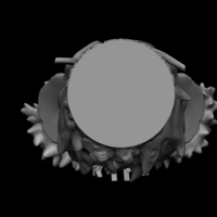 Yonko Kaido Bust One Piece - Thumbnail 8