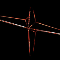 X lighting - Thumbnail 7