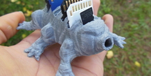 Image 385684