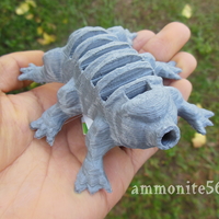 THE TARDIGRADE SD CARD SERVANT - Thumbnail 2