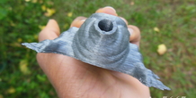 Image 385687