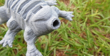Image 385688