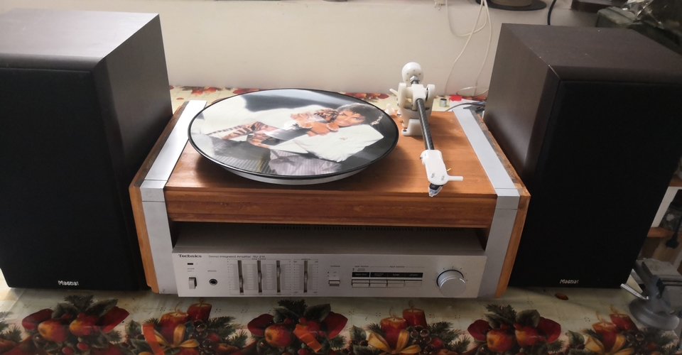 Record Player with 3D printed pieces 3D Print 385694