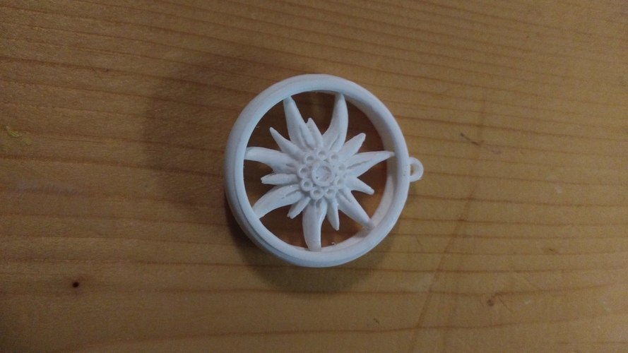 Floare de Edelweiss 3D Print 385935