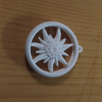 Floare de Edelweiss - Thumbnail 1