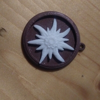 Small Floare de Edelweiss 3D Printing 385936