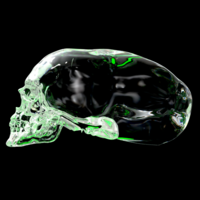 Small Elongated skull 3D Printing 386138