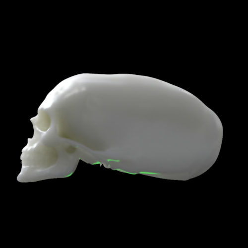 Elongated skull 3D Print 386139