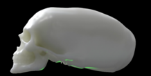 Image 386139