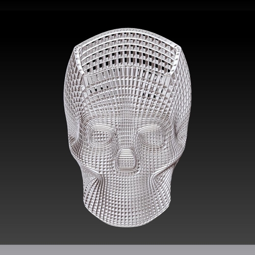 Skull study 1 3D Print 386267