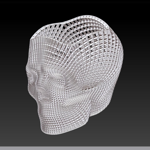 Skull study 1 3D Print 386268