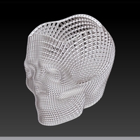 Small Skull study 1 3D Printing 386268