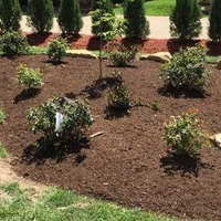 Landscapers Can be Worth? - Thumbnail 1