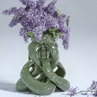 Small Spiral Knot Flower Vase 3D Printing 386557