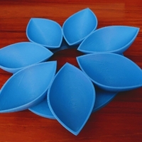 Small Petals4 3D Printing 386573
