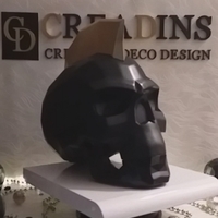 Modern skull - Thumbnail 2