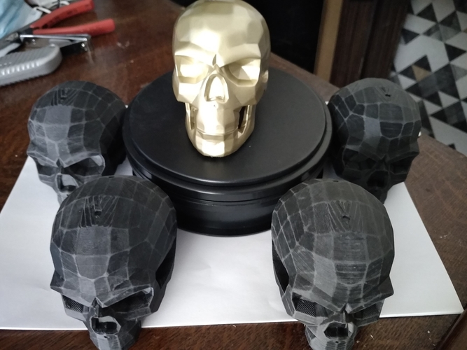 Modern skull 3D Print 386877