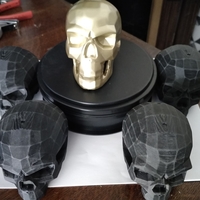 Modern skull - Thumbnail 4