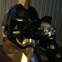 Modern skull - Thumbnail 5