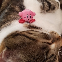 Small Kirby  3D Printing 386901