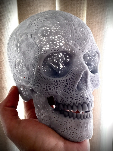 Filigree Anatomical Skull