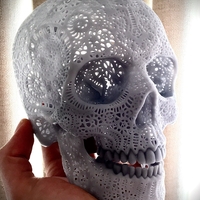 Small Filigree Anatomical Skull 3D Printing 386916