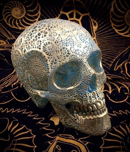 Filigree Anatomical Skull 3D Print 386918