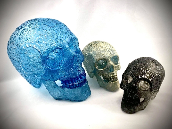 Filigree Anatomical Skull 3D Print 386919