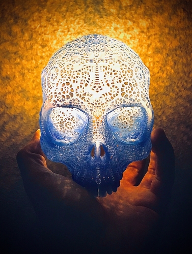 Filigree Anatomical Skull 3D Print 386920
