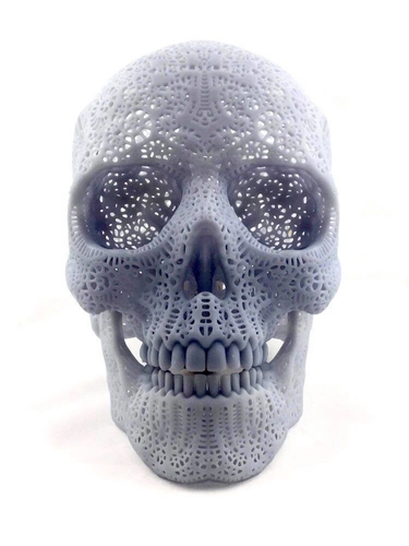Filigree Anatomical Skull 3D Print 386921