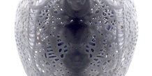 Image 386922